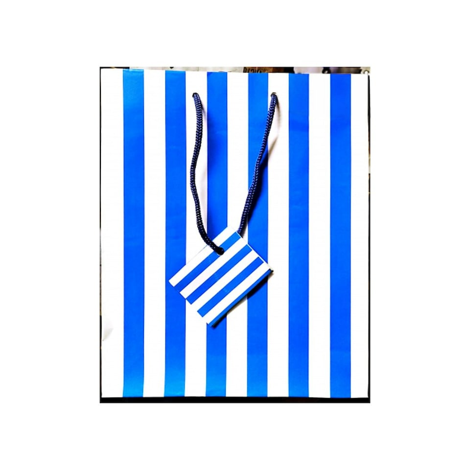 Unique Party Stripe Gift Bag - Blue/White - One Size Blue
