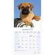 image 3 of Bull Mastiff 2026 Calendar | Square Wall Calendar | Dog Breed Gift | Plastic Free Packaging | by Avonside Publishing