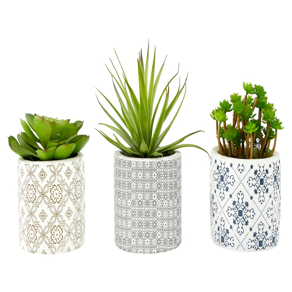 image 1 of Fiori Set of 3 Succulents in Henna Ceramic Pots