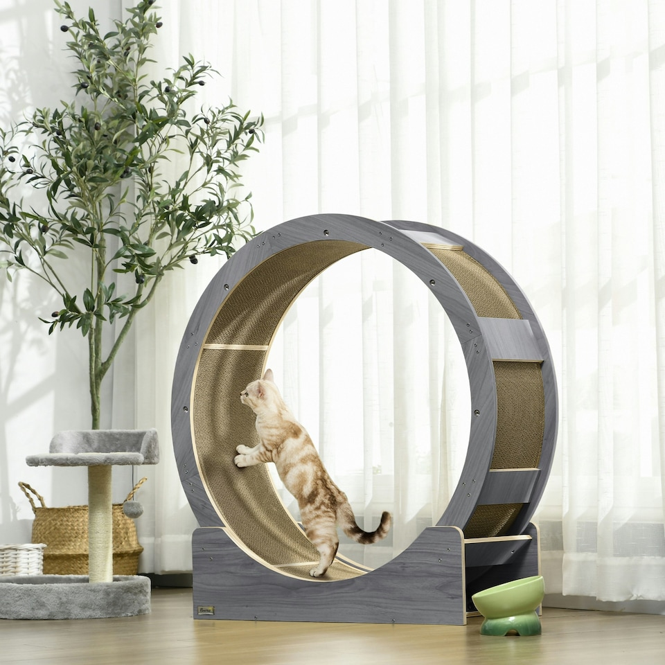 image 1 of PawHut Cat Treadmill with Brake, Scratching Pads for Indoor Cats, Grey