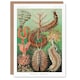 image 1 of Ernst Haeckel Art Card Chaetopoda Annelid Marine Worms