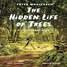 Hidden Life Of Trees