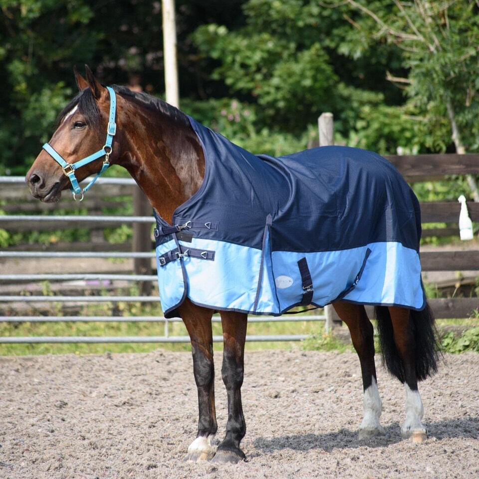 image 1 of eQuitack 600D Waterproof Horse Turnout Rug 0g No Fill Half Neck Navy/Baby Blue 5'9''