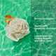 image 3 of Cleanlogic Sustainable Exfoliating Loofa Pouf Contains 3 Pairs