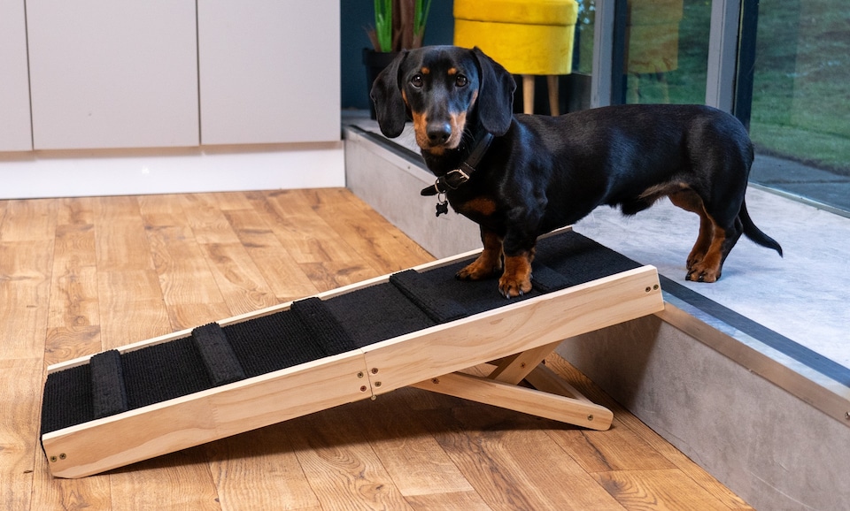 image 1 of The Ramp People Adjustable Wooden Dog Ramp 50kg Capacity 6 Heights Small