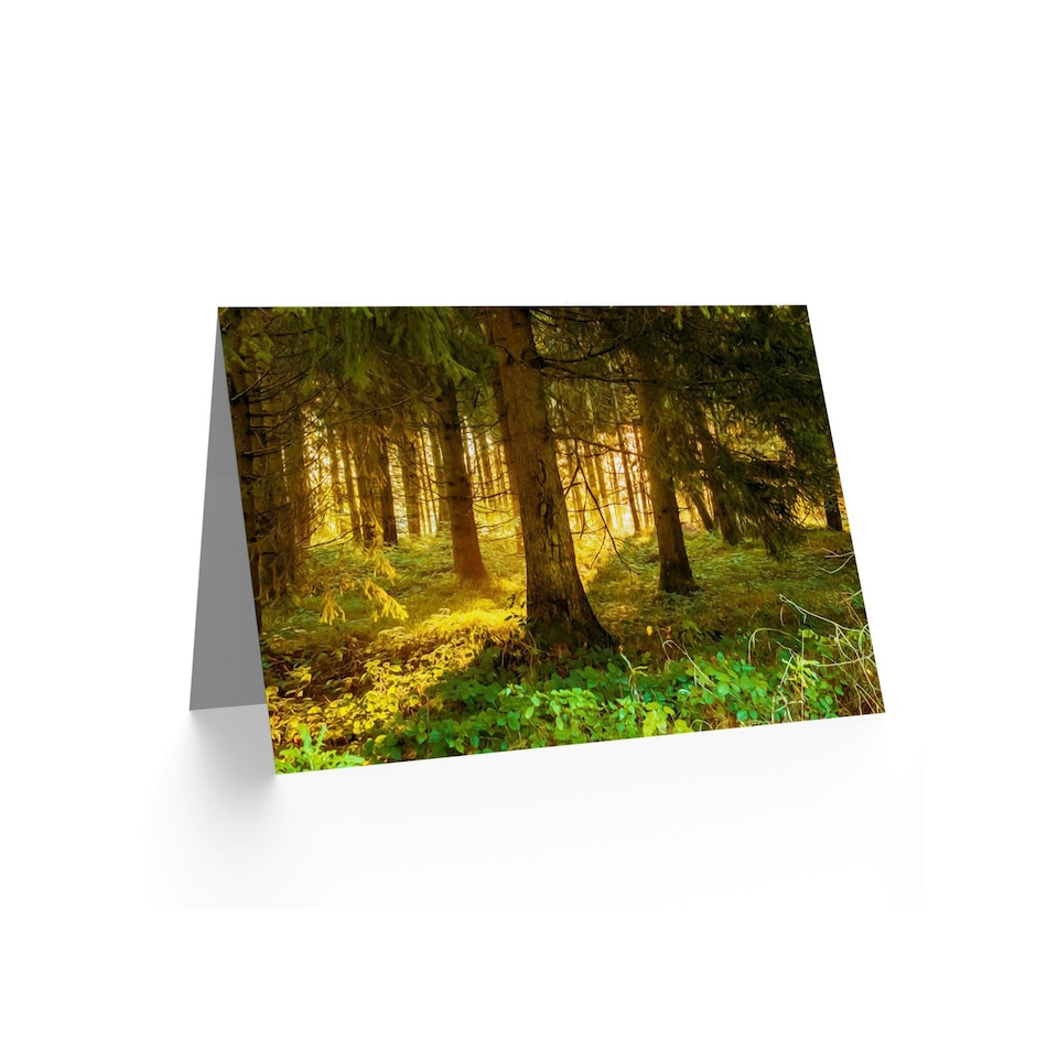 image 1 of Sunrise Sunshine Through Forest Trees Good Luck Card