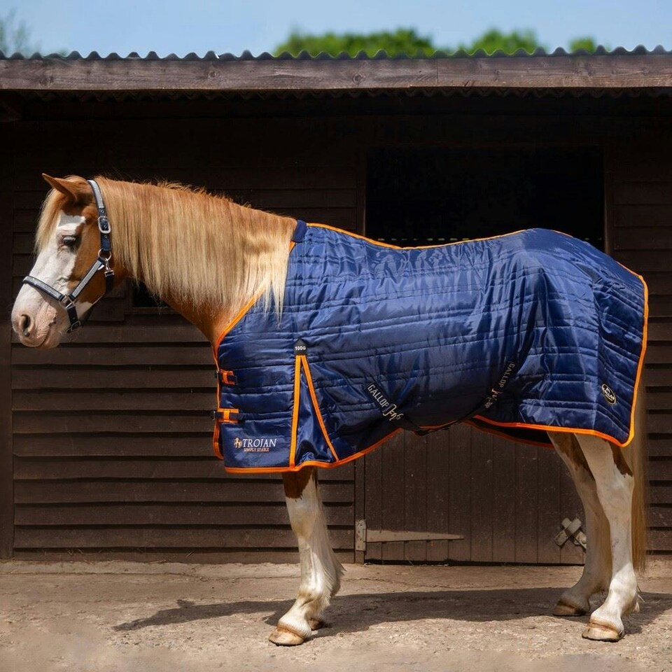 image 1 of Gallop Equestrian Trojan 100G Stable Rug Blue | Size: 5ft 9
Colour: Navy