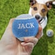 image 2 of Pre-Personalised Dog Ball Gift Pack 2pcs Blue Jack