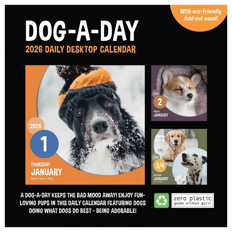 Dog A Day Desk Calendar 2026, Desk Calendars, Day To View, Dogs, Gift ...
