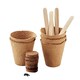 image 3 of MidOcean Flowers Flower Seeds - Beige - One Size