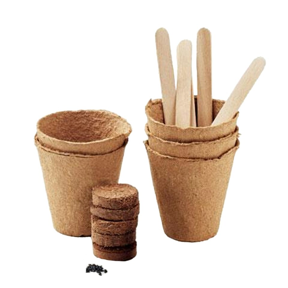 image 1 of MidOcean Flowers Flower Seeds - Beige - One Size