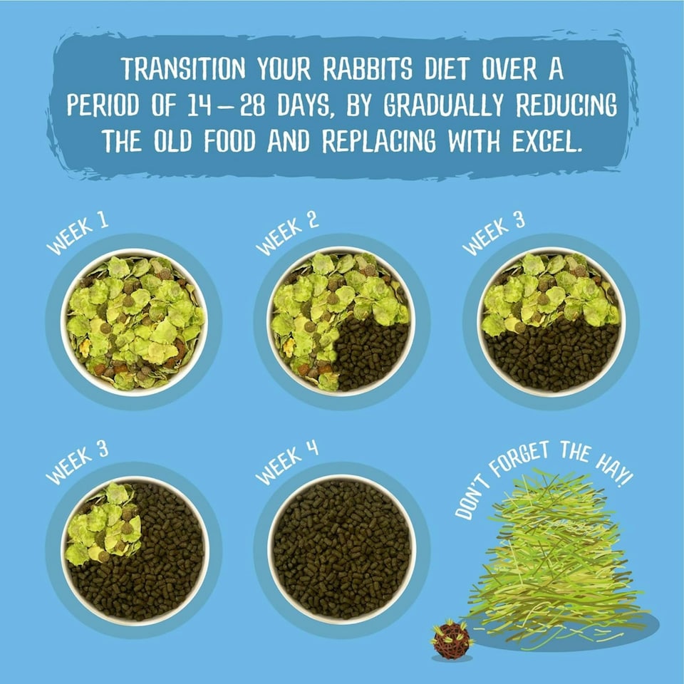 image 1 of Burgess Excel Junior & Dwarf Rabbit Nuggets With Mint - 10KG