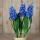 image 2 of Hill Interiors Hyacinth Stem Artificial Plant - Blue - One Size