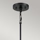 image 4 of Quoizel Bismarck Pendant Ceiling Light Earth Black