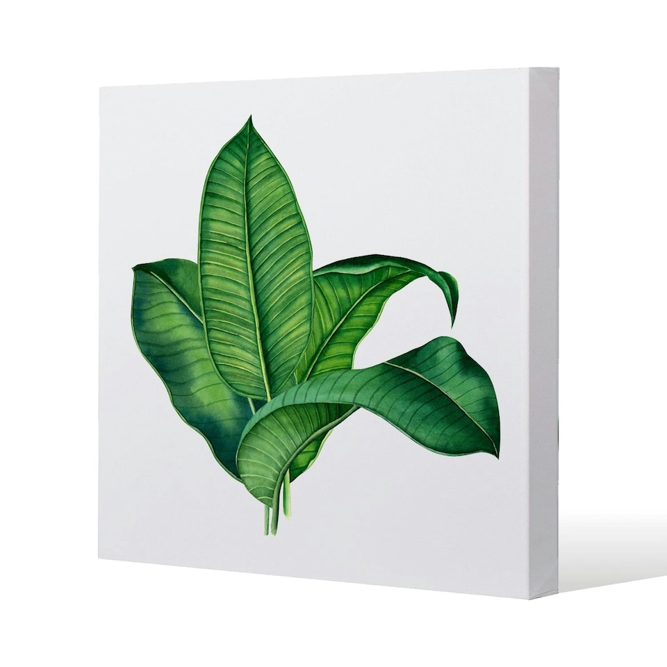 image 1 of Bunched Leaves (Canvas Print) 114 x 114 x 4cm