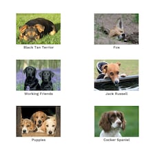 Kevin Milner Black And Tan Terrier Countryside Greetings Card - Green/Black/Tan - One Size