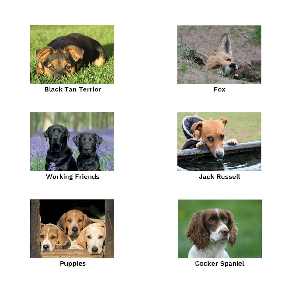 Kevin Milner Black And Tan Terrier Countryside Greetings Card - Green/Black/Tan - One Size