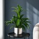 image 1 of 65cm Artificial Large Leaf Bamboo Shrub Plant with Silver Metal Planter