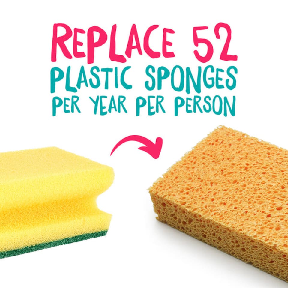 image 1 of Compostable Cellulose Sponges - Pack of 2
