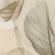 image 4 of Superfresco Easy Arlington Parchment Leaves Wallpaper Cream | Cream