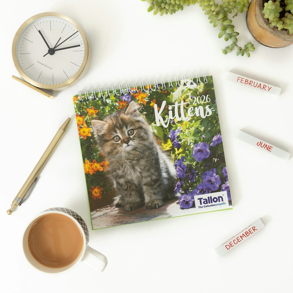 image 1 of 2026 Desk Calendar Kittens Design