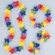 image 1 of Hawaiian Rainbow Flower Lei Assortment Fancy Dress Set