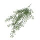 image 2 of Hanging UV and Fire Resistant Artificial String Pearl Plant 75cm