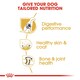image 5 of ROYAL CANIN® German Shepherd Adult Dry Dog Food N/A | 3kg