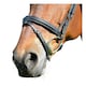 image 4 of Collegiate Comfitec Leather Horse Bridle | Black | Black | Warmblood | 1