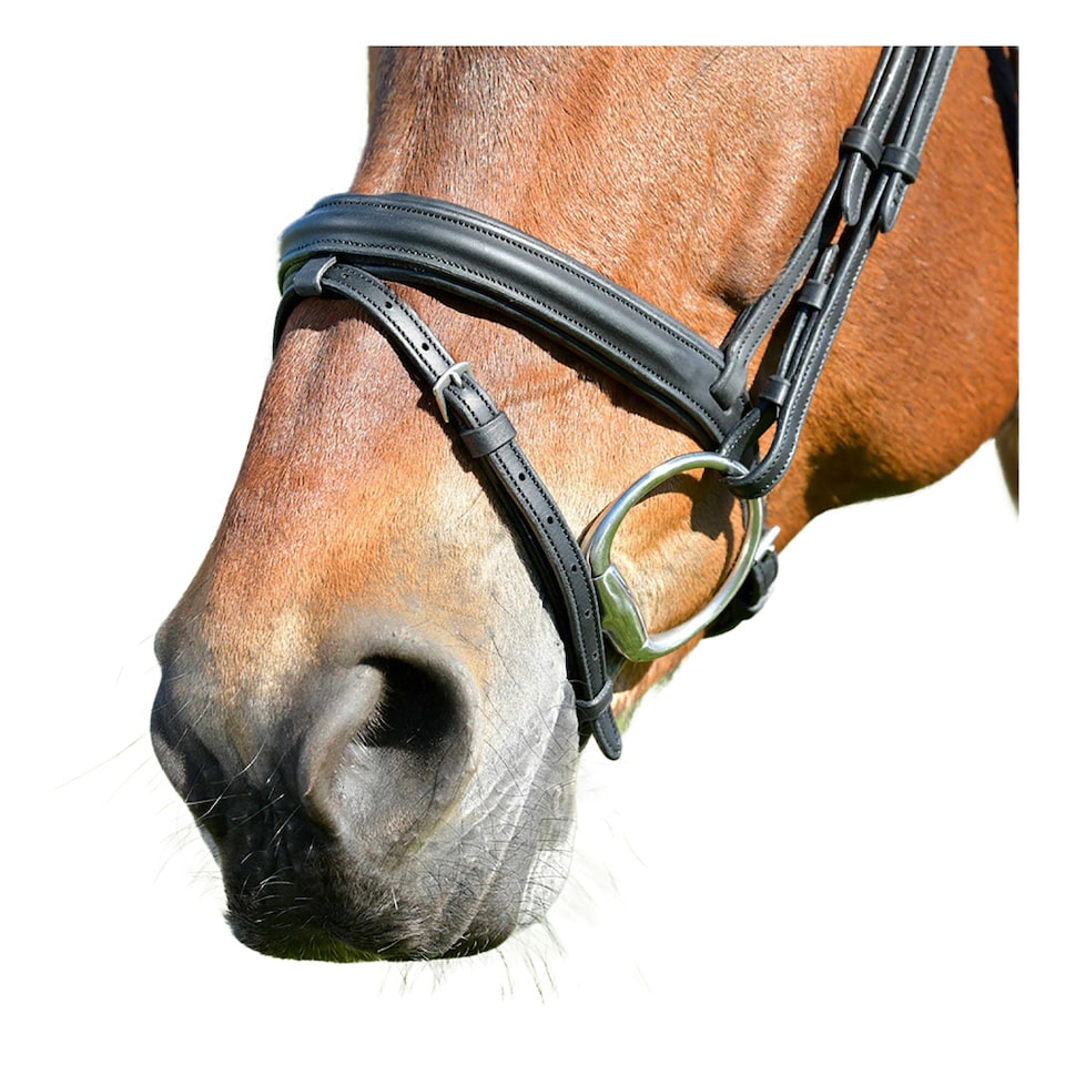 image 1 of Collegiate Comfitec Leather Horse Bridle | Black | Black | Warmblood | 1