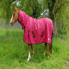 Rhinegold Full Neck Konig Red | Size: 5ft 0
Colour: Red