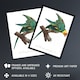 image 2 of The Yellow Crowned Parakeet Levaillant Wall Art Poster Print 12X16"