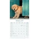 image 3 of Golden Retriever 2026 Calendar | Square Wall Calendar | Dog Breed Gift | Plastic Free Packaging | by Avonside Publishing