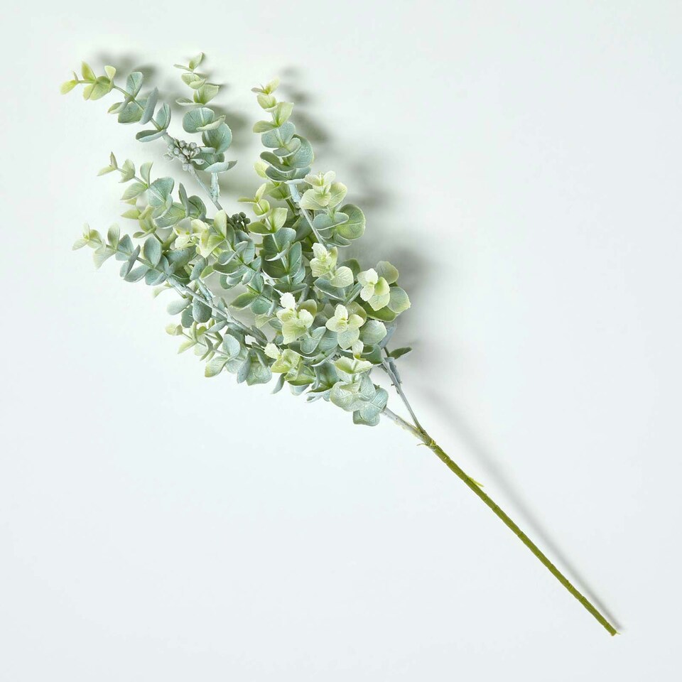 image 1 of Homescapes Eucalyptus Spray Single Stem 68 cm
