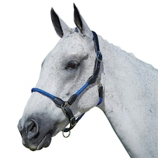 Kincade Leather Rope Headcollar - Blue - Pony