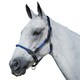 image 1 of Kincade Leather Rope Headcollar - Blue - Pony