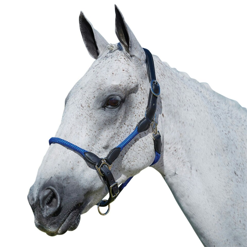 image 1 of Kincade Leather Rope Headcollar - Blue - Pony