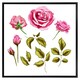 image 2 of Roses & leaves (Picutre Frame) Grey | M