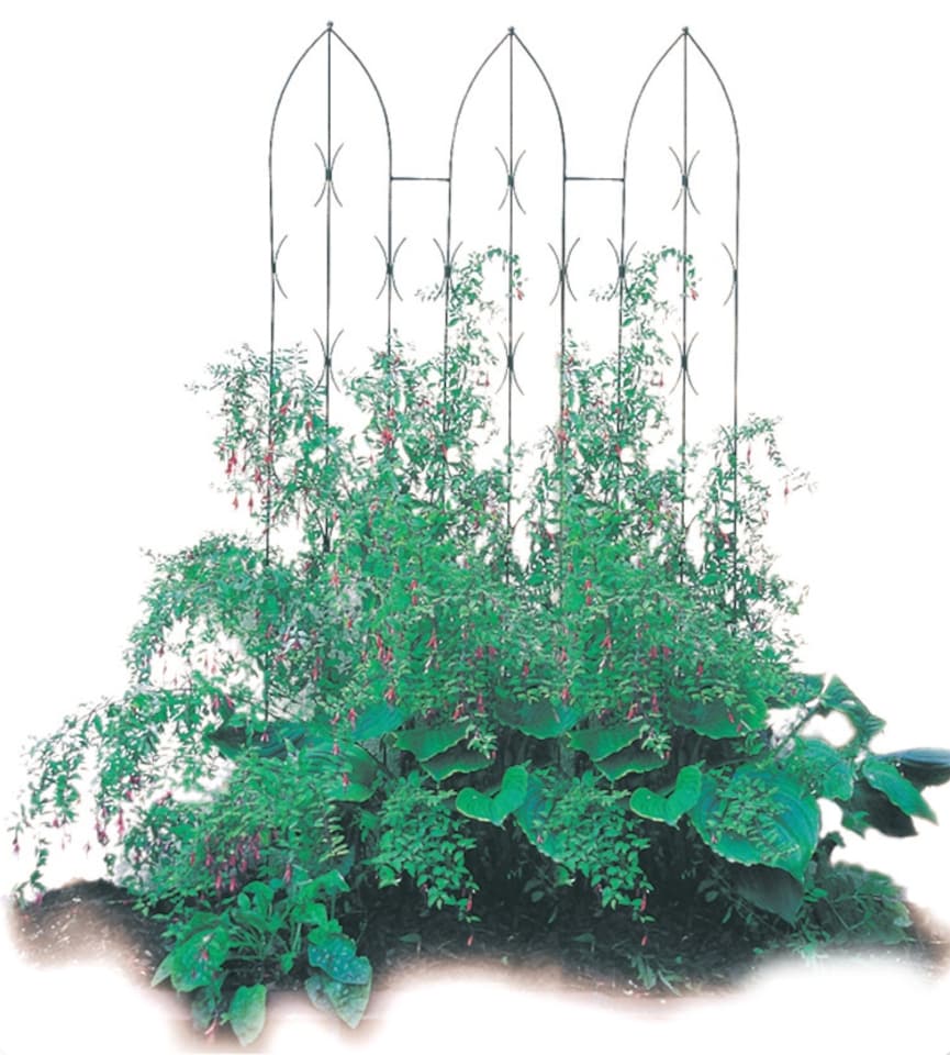 image 1 of Triple Gothic Screen Bare Metal - Ready to Rust - Steel - L2 x W91.4 x H180 cm
