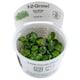 image 9 of Tropica Anubias barteri 'Mini Coin' (Easy, Foreground/Attach) 1-2-Grow!