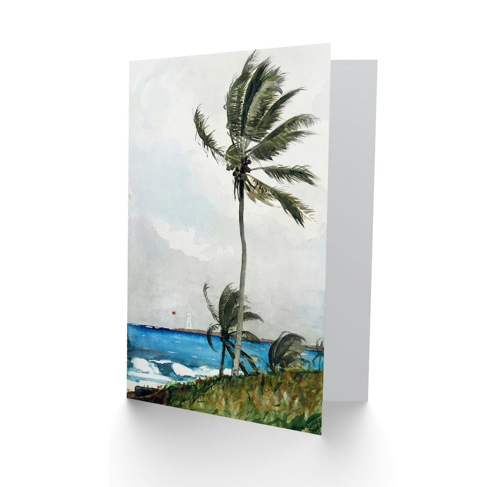 image 1 of Winslow Homer Art Card Palm Tree in Nassau Watercolour