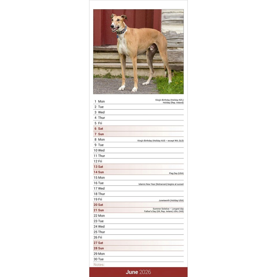 image 1 of Greyhound Slim 2026 Calendar | Slimline Wall Calendar | Dog Breed Gift | Plastic Free Packaging | by Avonside Publishing [Calendar] Avonside Publishing Ltd