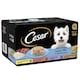 image 3 of Cesar Senior 10+ In Delicate Jelly 24 x 150g