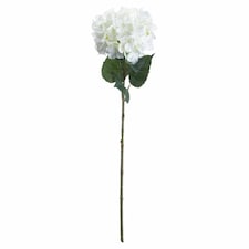 Single Hydrangea Artificial Flower - L10 x W18 x H70 cm - White