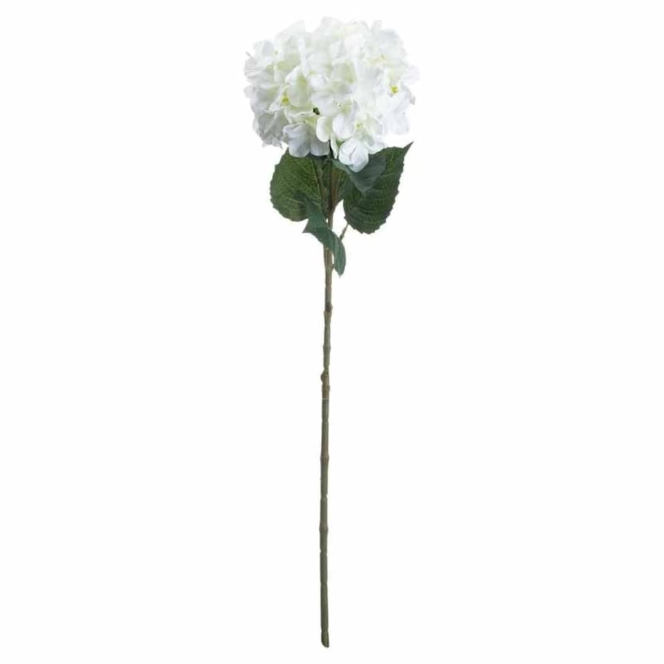 image 1 of Single Hydrangea Artificial Flower - L10 x W18 x H70 cm - White