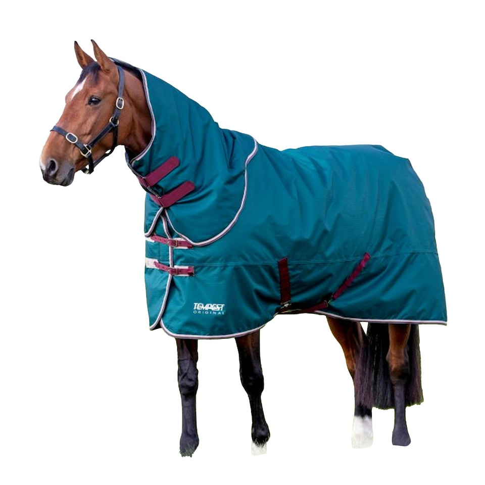 image 1 of Tempest Original 200 Horse Turnout Rug & Neck Cover Set - Green - 6´ 3"