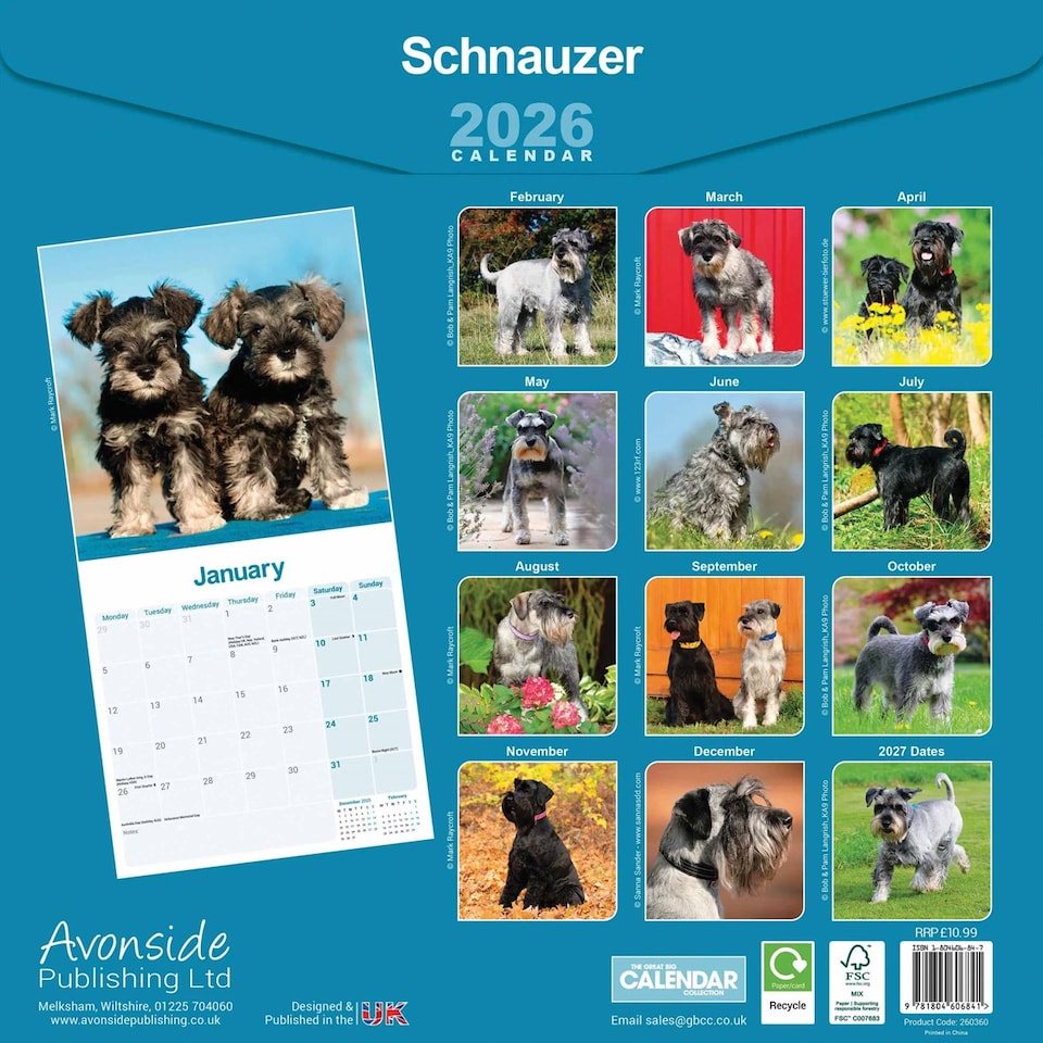 image 1 of Schnauzer 2026 Calendar | Square Wall Calendar | Dog Breed Gift | Plastic Free Packaging | by Avonside Publishing