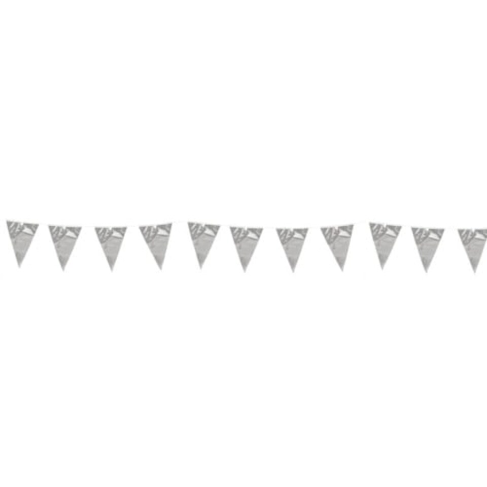 Metallic Silver Foil Pennant Bunting 10m