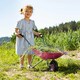 image 4 of Rolly Childs Pink Metal Wheelbarrow