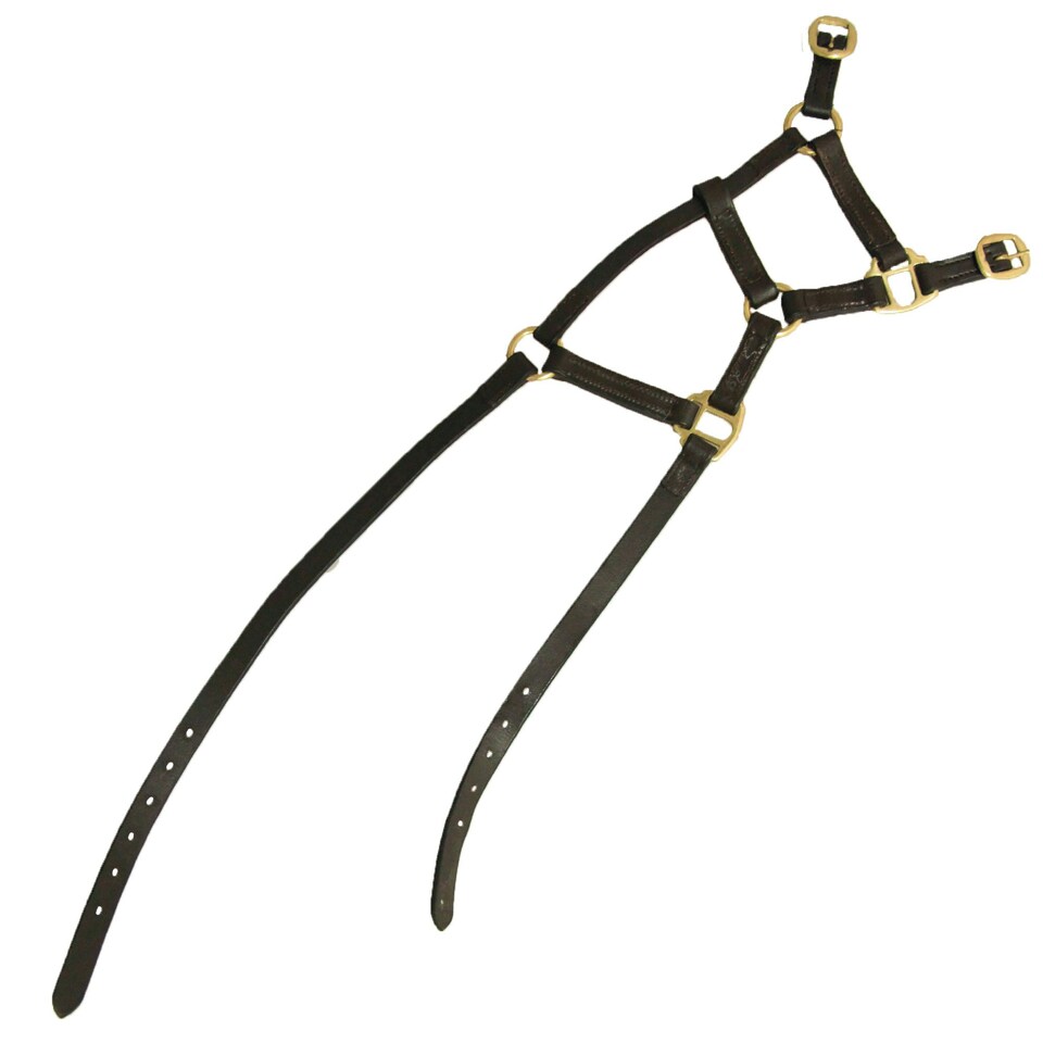 image 1 of Hy Leather Foal Head Collar - Brown - Large